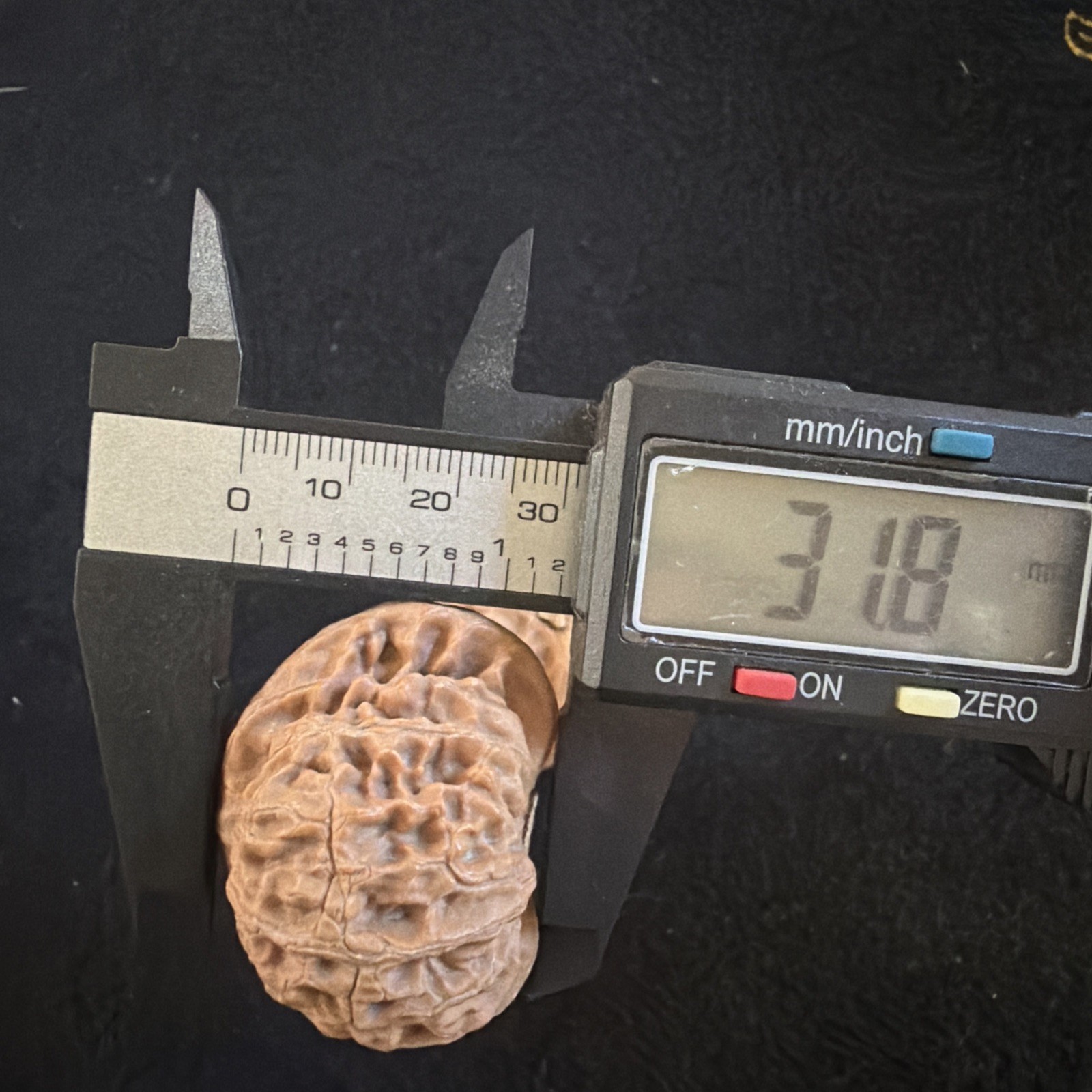 文玩核桃 Ornamental Walnut · Chinese Pocket Curio 2026年新开，精配对无修无打底，#189
