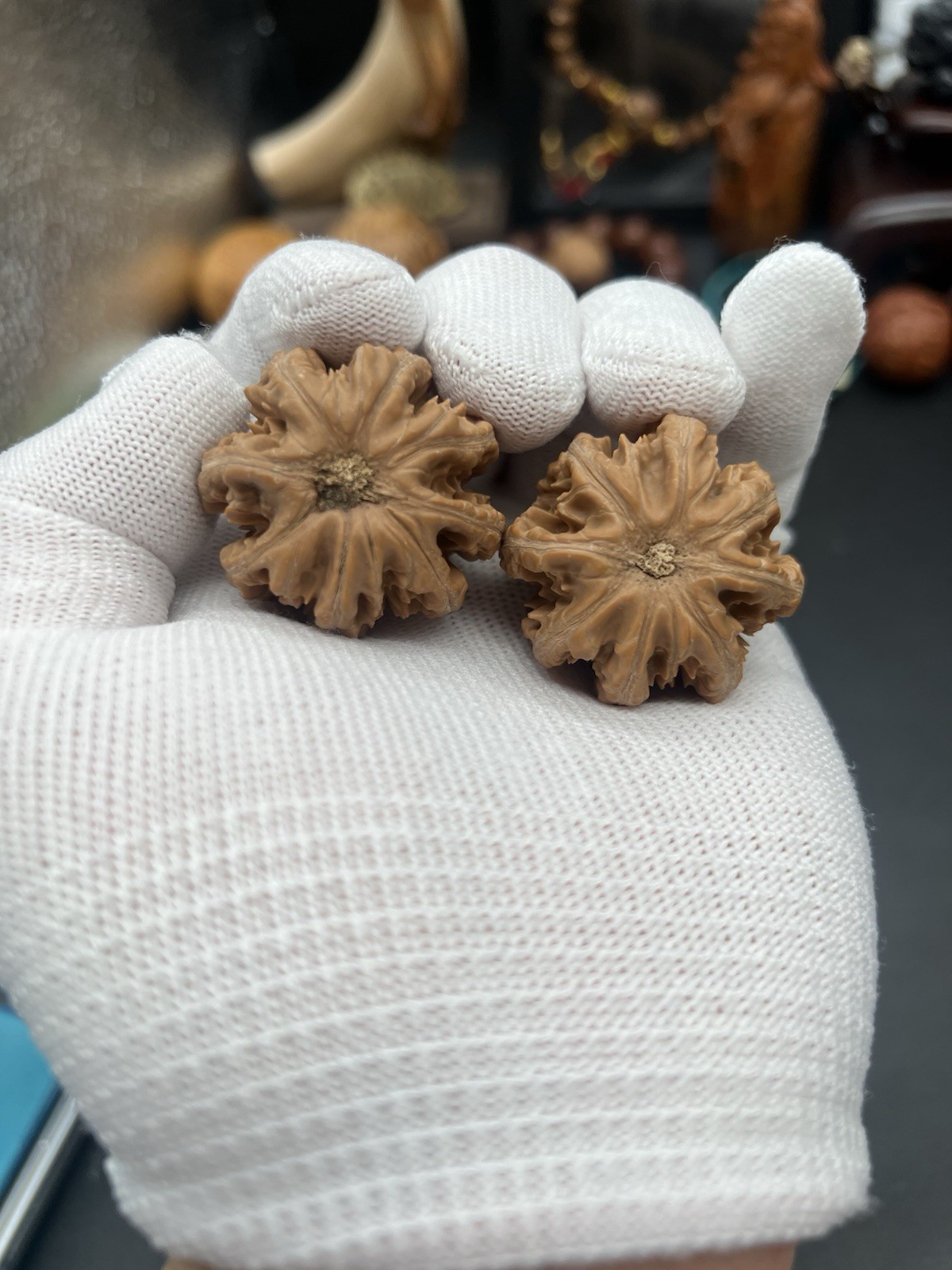 Pair of Match Chinese Health Walnut Collection 36×35×33mm 精配文玩核桃～矮桩粗筋京八棱手捻