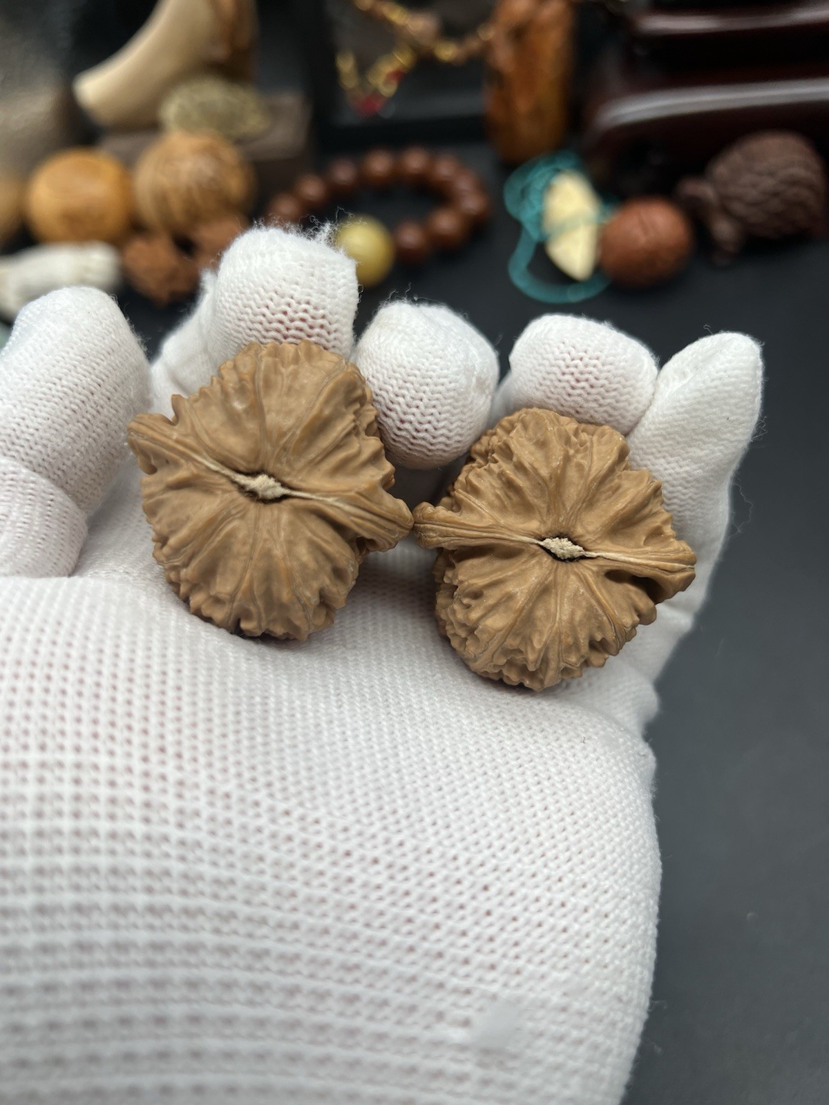 Pair of Match Chinese Health Walnut 38×39.×36mm 精配文玩核桃 ～白狮子狮子头