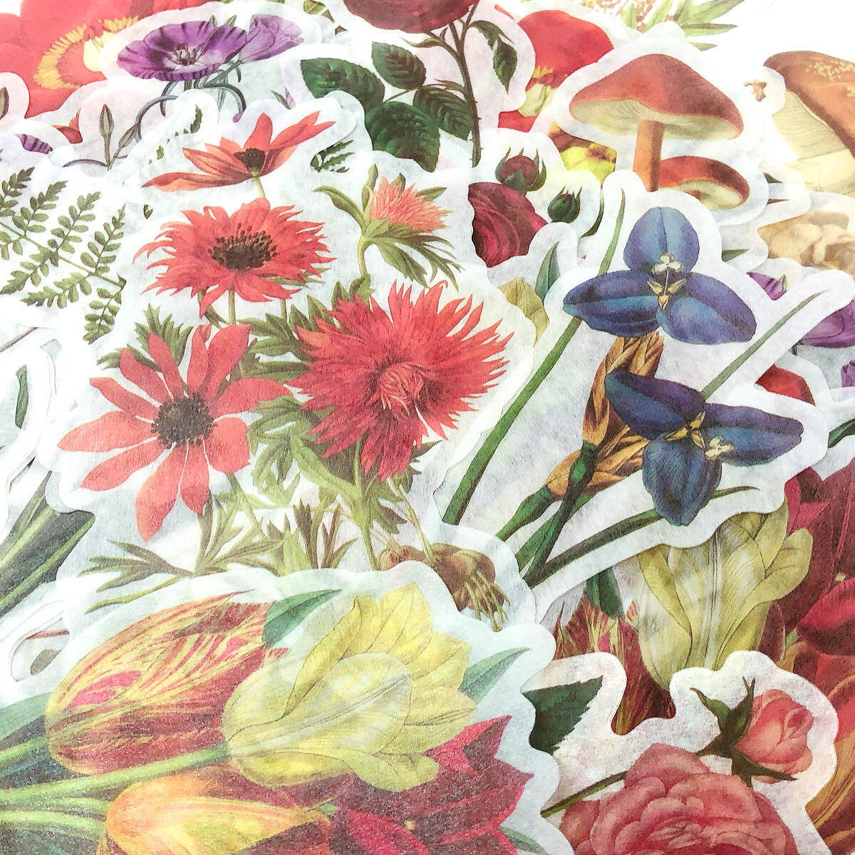 Wrapables Decorative Scrapbooking Washi Stickers, DIY Stationery Diary (60pcs)