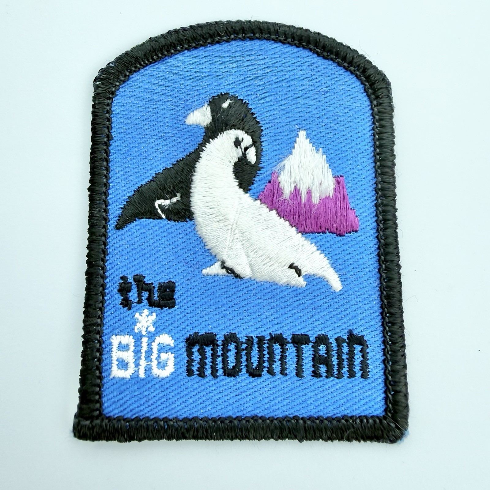 Vintage Big Mountain Montana Patch Ski Hiking Sew-On Embroidered Retro Weasels