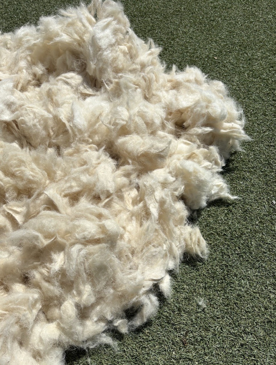 Natural Fiber Raw Wool WASHED Stuffing Insulation Filling Felting