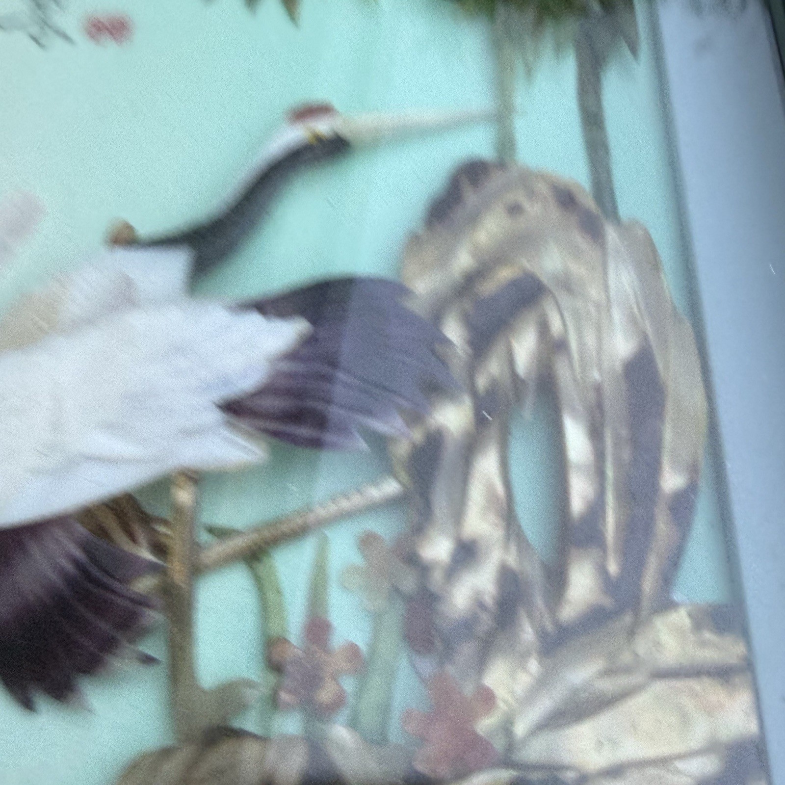 Vintage Asian 3D Shadowbox Wall Hanging Red-Crowned Cranes Shell Nature 9.5×5.5”