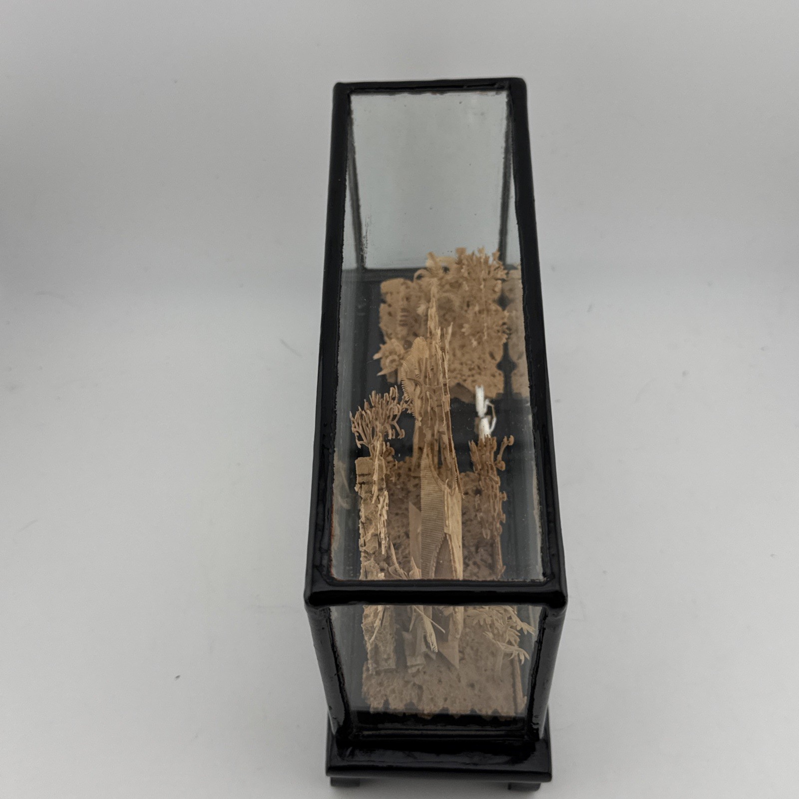 Vintage Chinese Hand Carved Cork Diorama with birds Framed Glass Wood