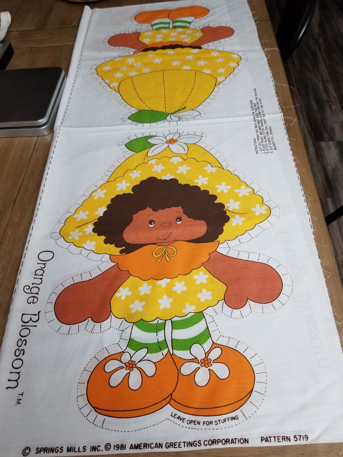Strawberry Shortcake Orange Blossom American Greetings Corp. 1981 Panel