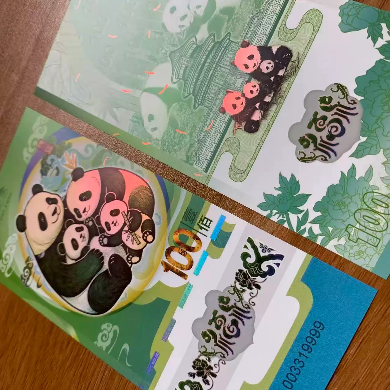 Giant Panda Family Test Note Set 10Pcs, Panda Collectible Private Polymer /unc