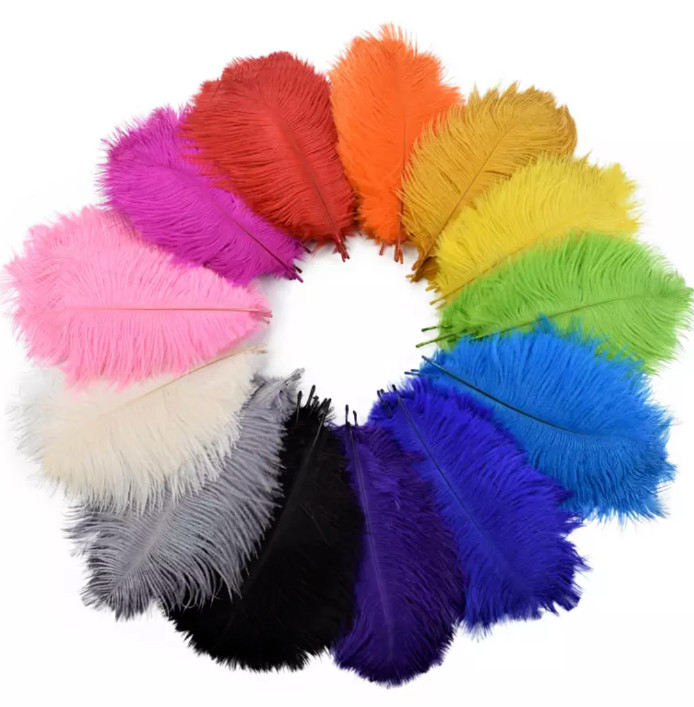 5pcs Ostrich Feathers 26 Colours Craft Cake Wedding Party Decoration