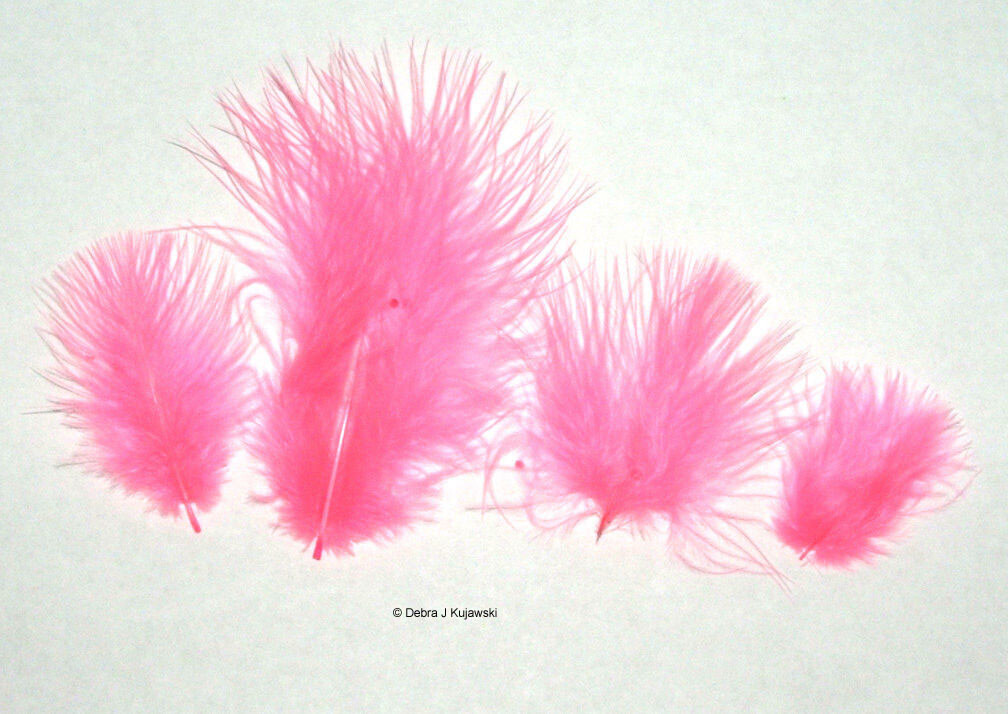 Marabou Feathers Small 1-3″ fluffs PINK ORIENT 7 grams approx. 105 per bag