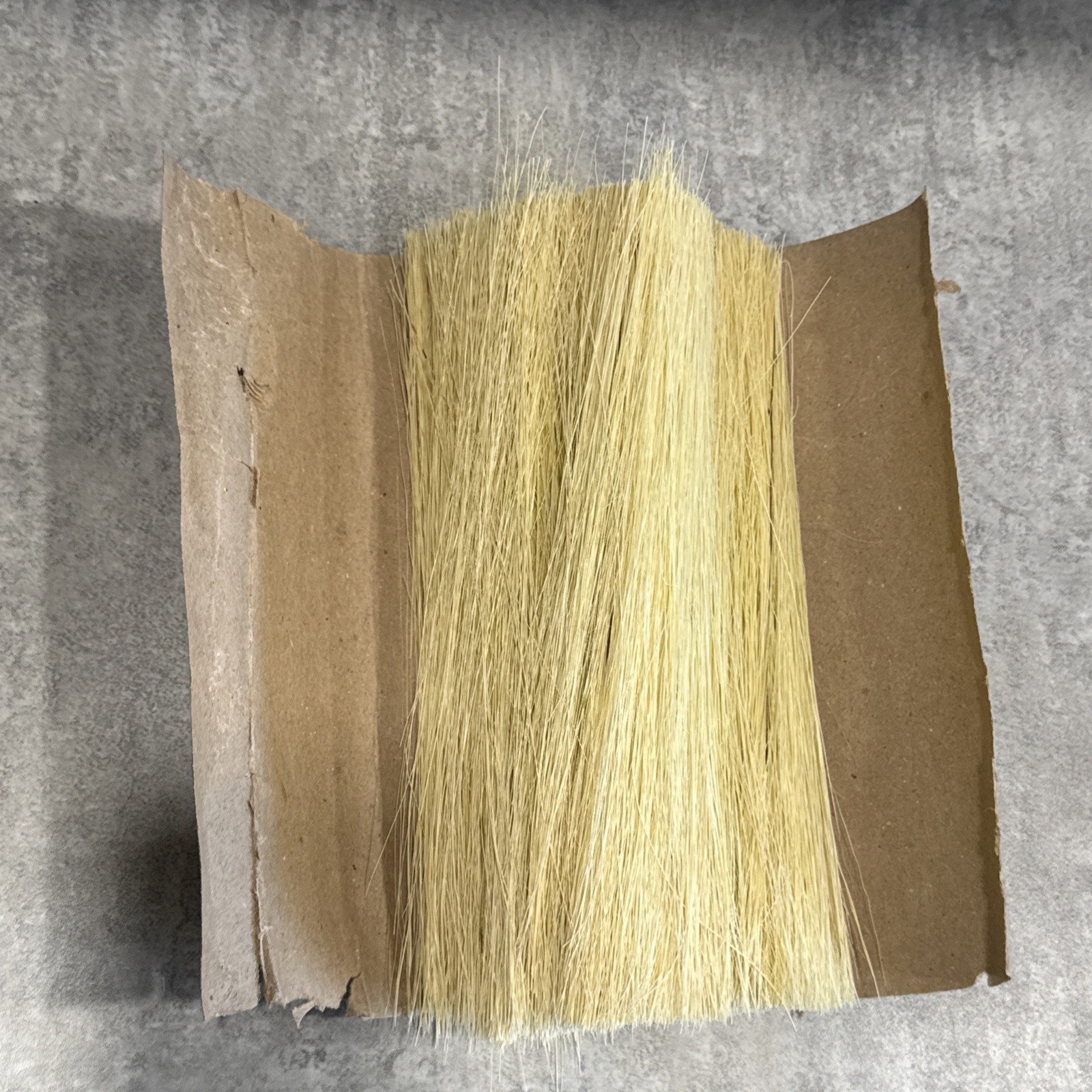 1 Pound of 10” Long Natural Tampico Fiber