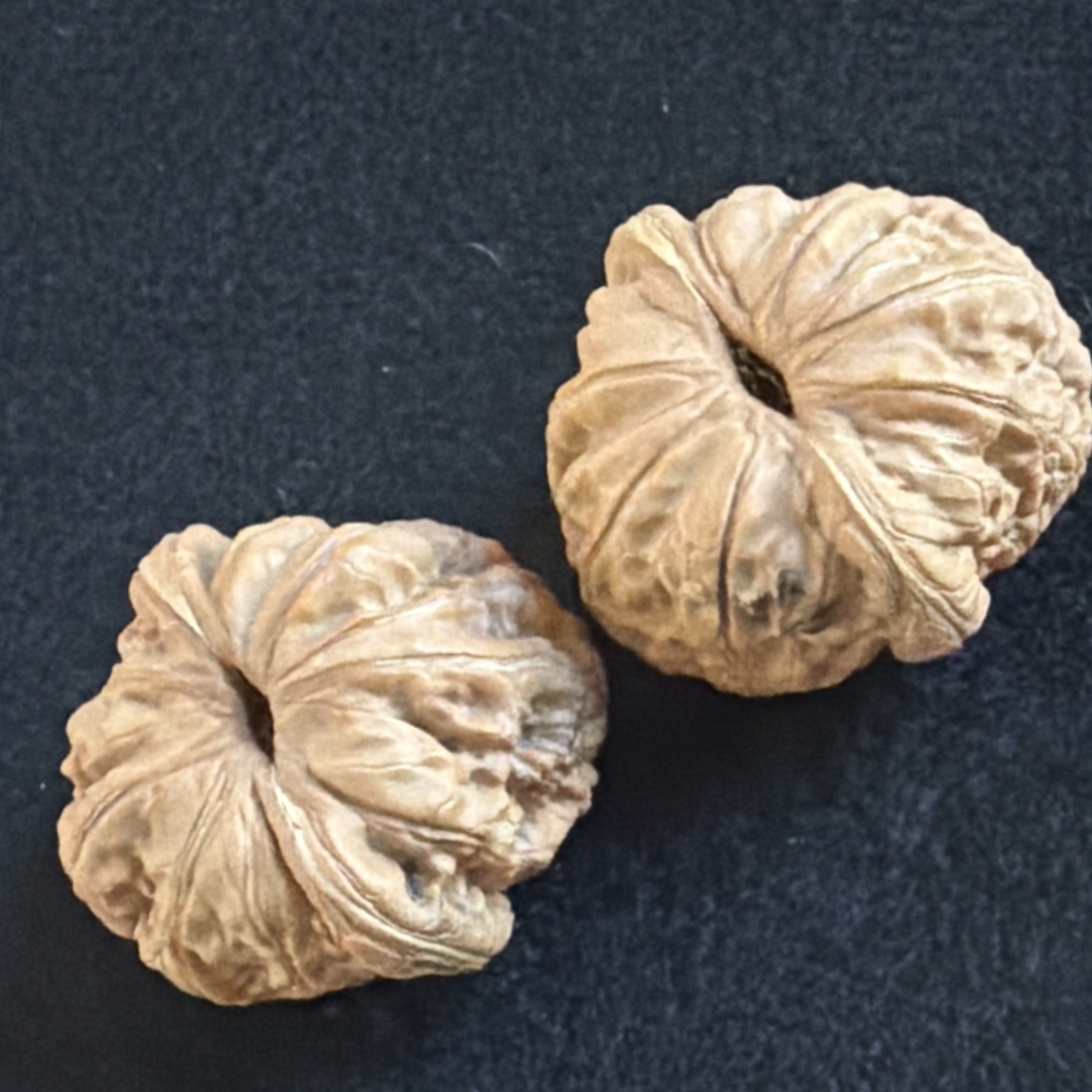 文玩核桃 Ornamental Walnut · Chinese Pocket Curio 2026年新开，精配对无修无打底，#185