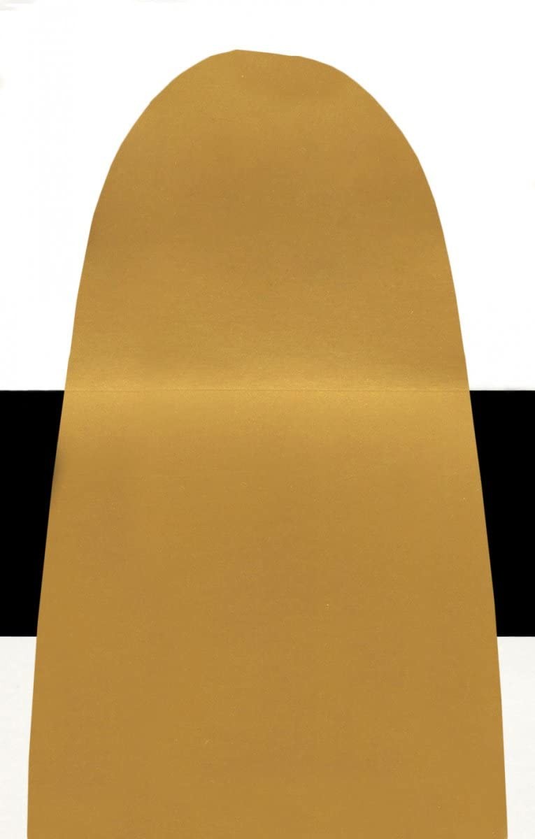 4oz Golden Fluid Acrylic Paint Bottle Iridescent Gold Deep Fine for Artists