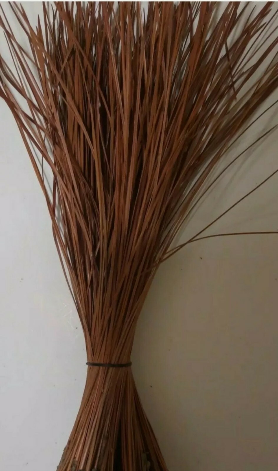 5Lbs Longleaf Pine Needle Bundles (10 to 12 inches)
