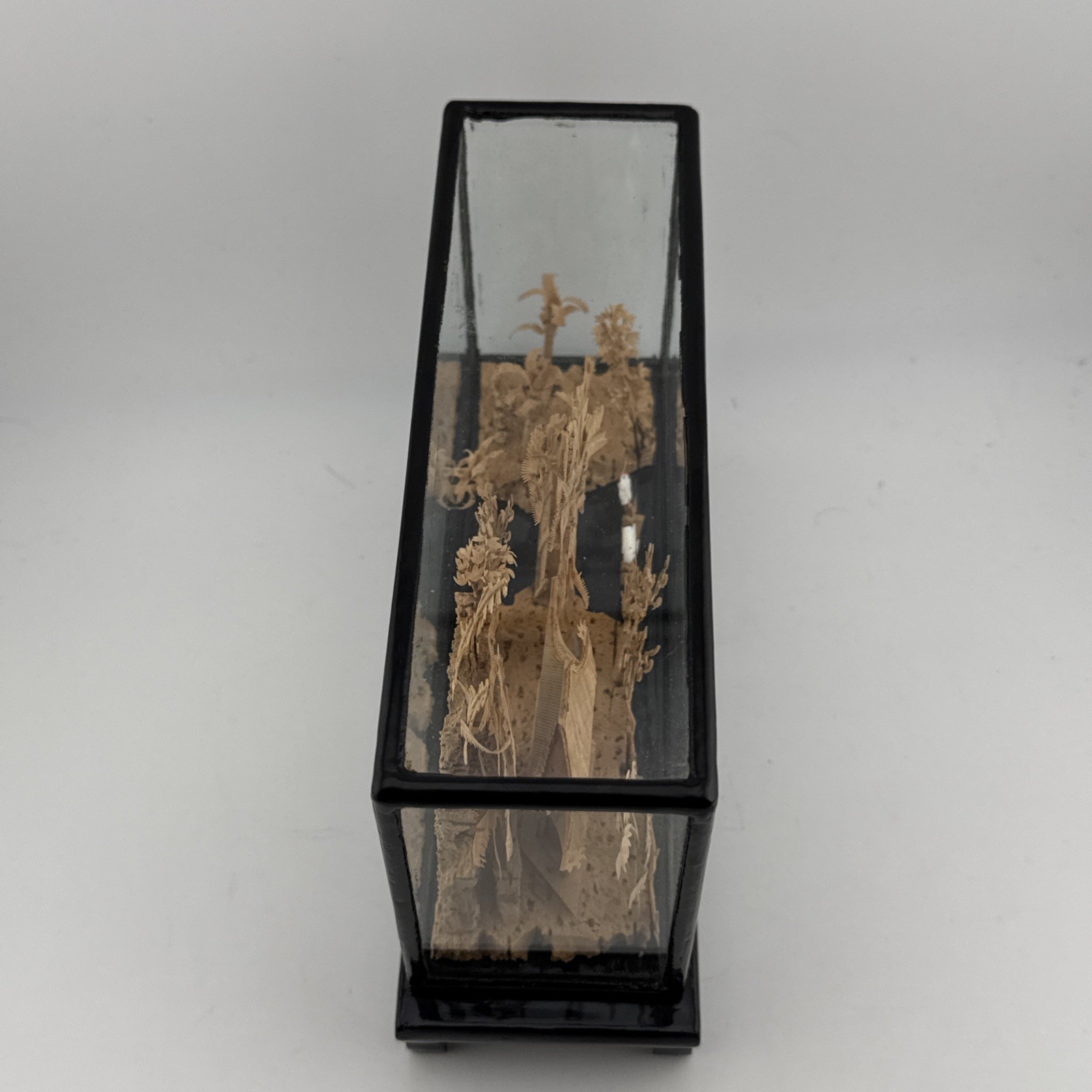 Vintage Chinese Hand Carved Cork Diorama with birds Framed Glass Wood