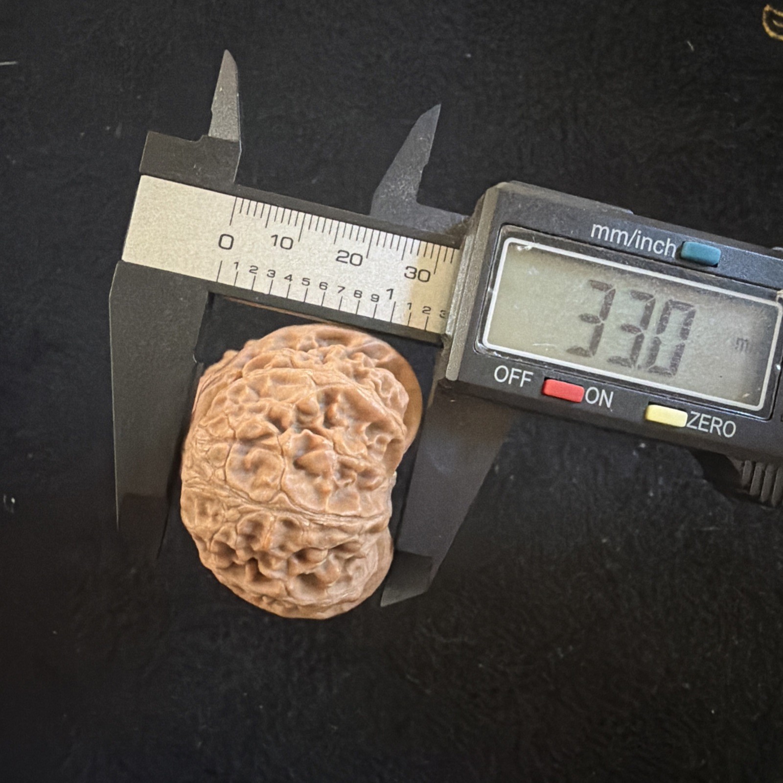 文玩核桃 Ornamental Walnut · Chinese Pocket Curio 2026年新开，精配对无修无打底，#189