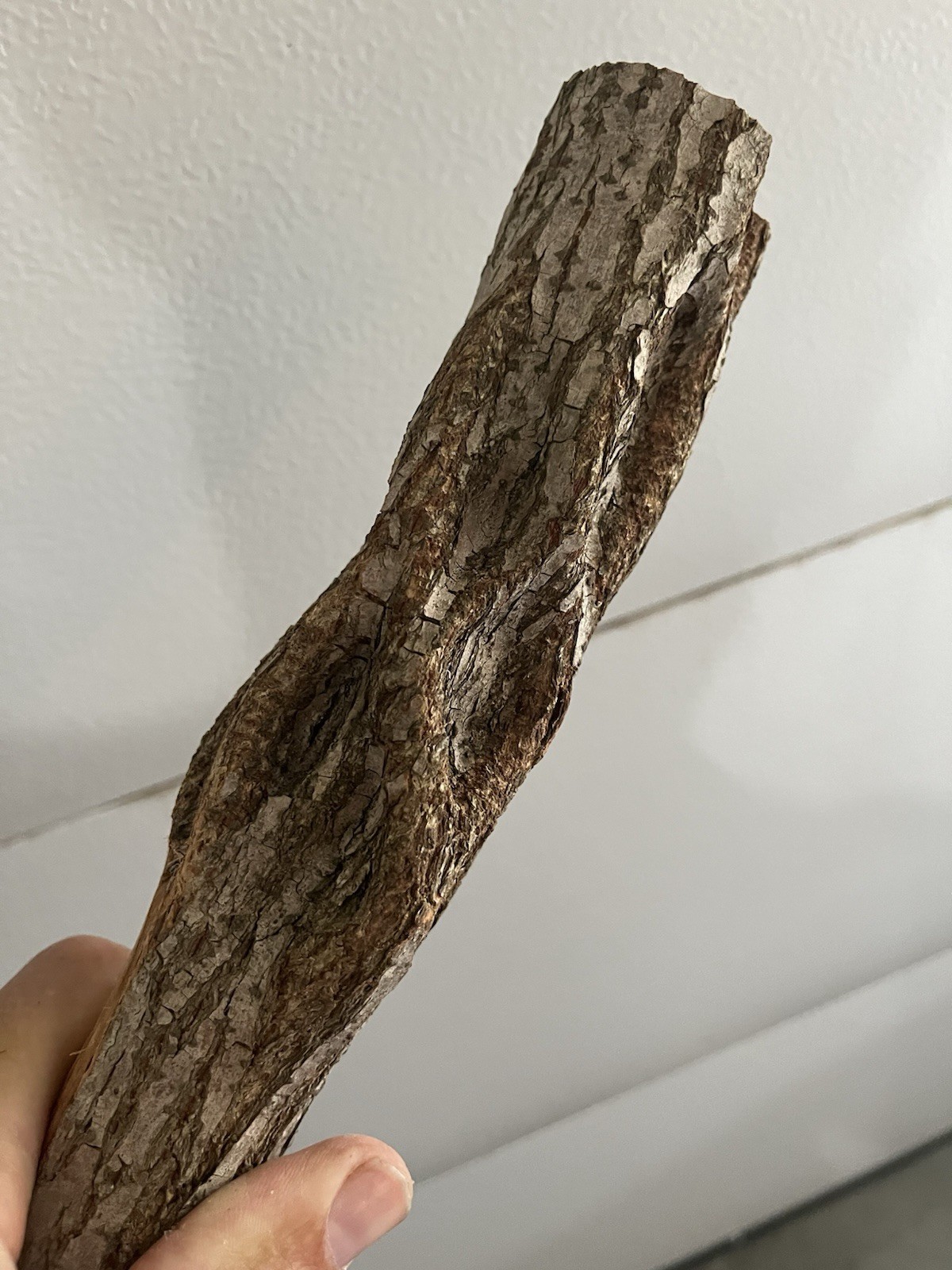 Diamond Willow Cane (You Carve 💎s): 46″ Walking Stick, Twisted wood, Colorful
