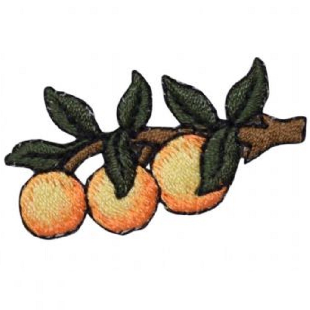 Mini Oranges Applique Patch – Fruit Citrus Food Tree Branch Badge 1.75″ (Iron on