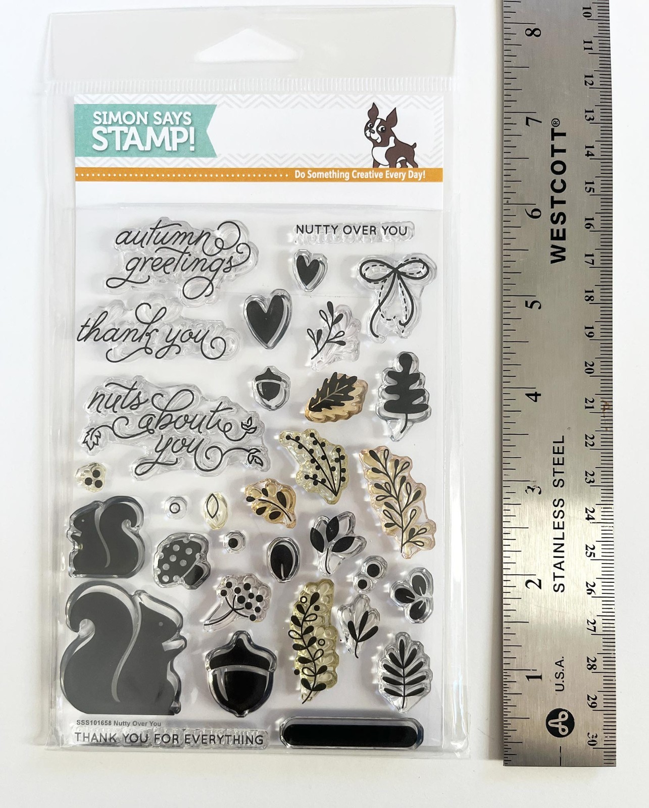 Simon Says Stamp – “Nutty Over You” Fall Autumn Squirrels Clear Stamps, 4×6″ set