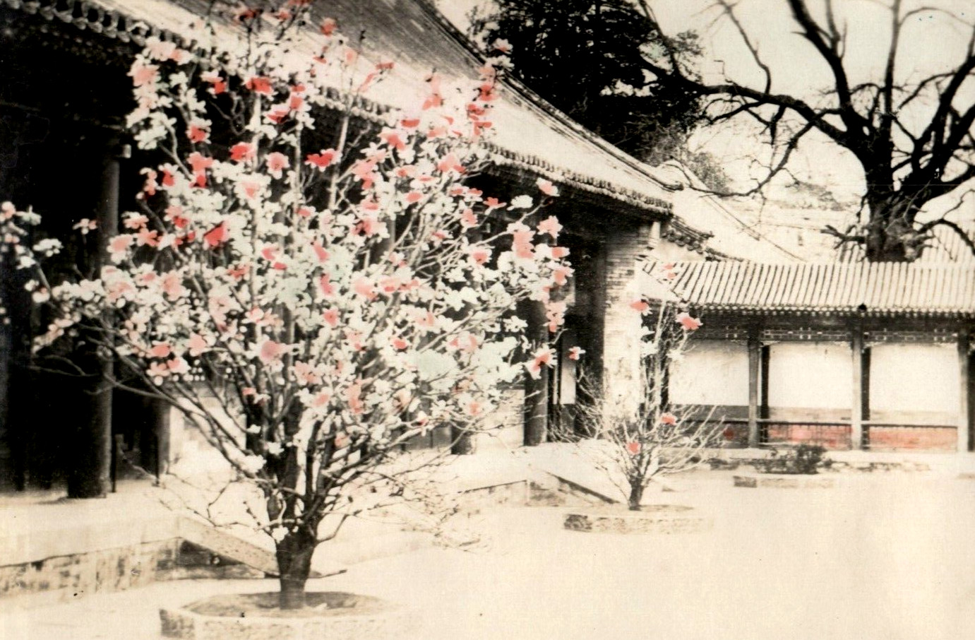 C. 1900-10 Peking China Forbidden City Hand Tinted Original Photo 12 K1