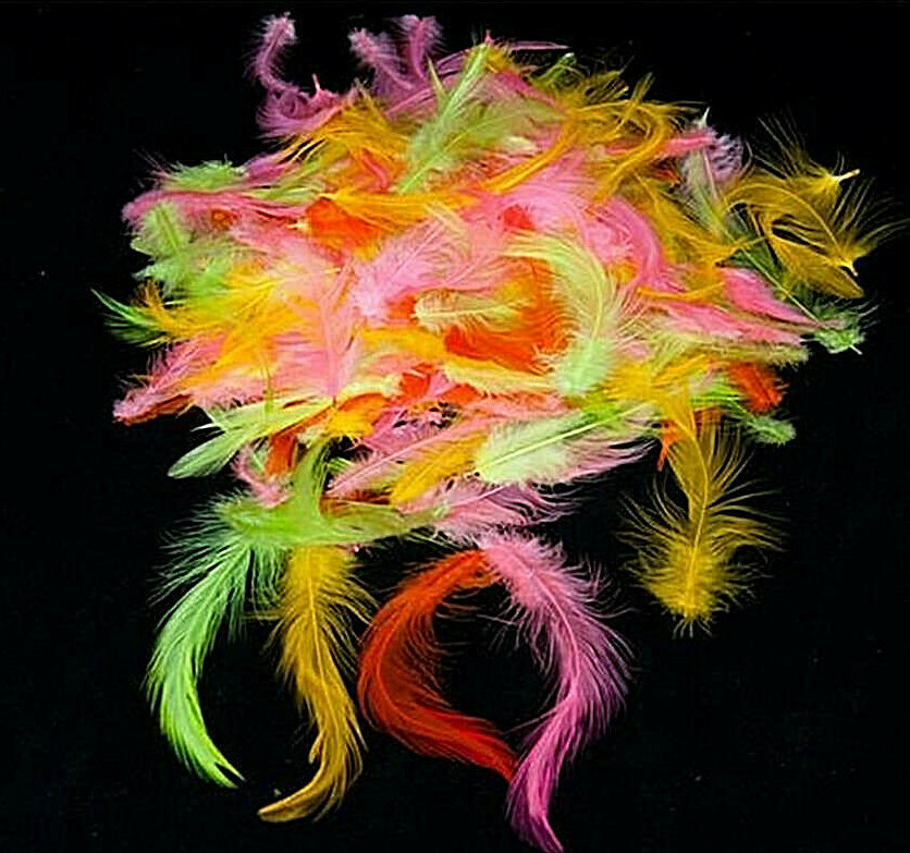 Chinese Rooster Saddle Hackle Feathers – Loose – 4 Colors Mixed – 50 Pcs.