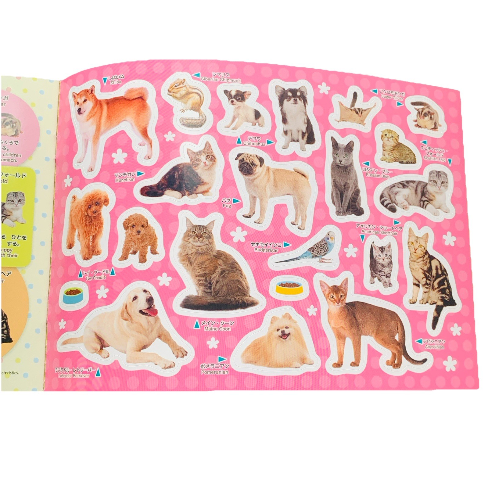 Cute Pet Animal Sticker Book – Daiso Japan Exclusive