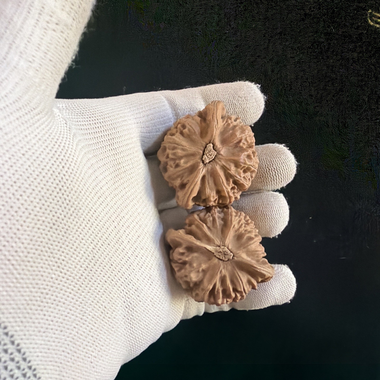 文玩核桃 Ornamental Walnut · Chinese Pocket Curio 2026年新开，精配对无修无打底，#189
