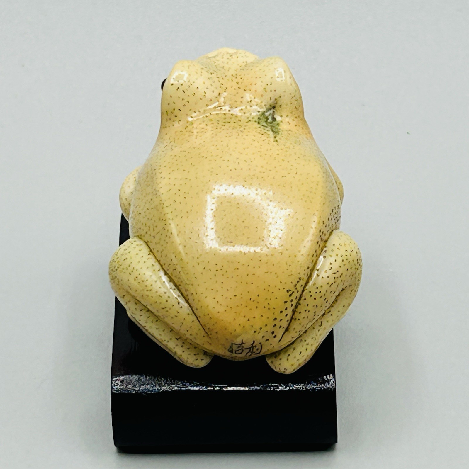 Hand Carved and Painted TAGUA NUT FROG from Hong Kong Rare Vintage Fabulous