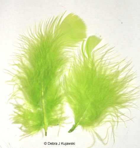 Quality Marabou Feathers LIME GREEN Fluffy 3-8″ L 7 grams Approx 35 ct