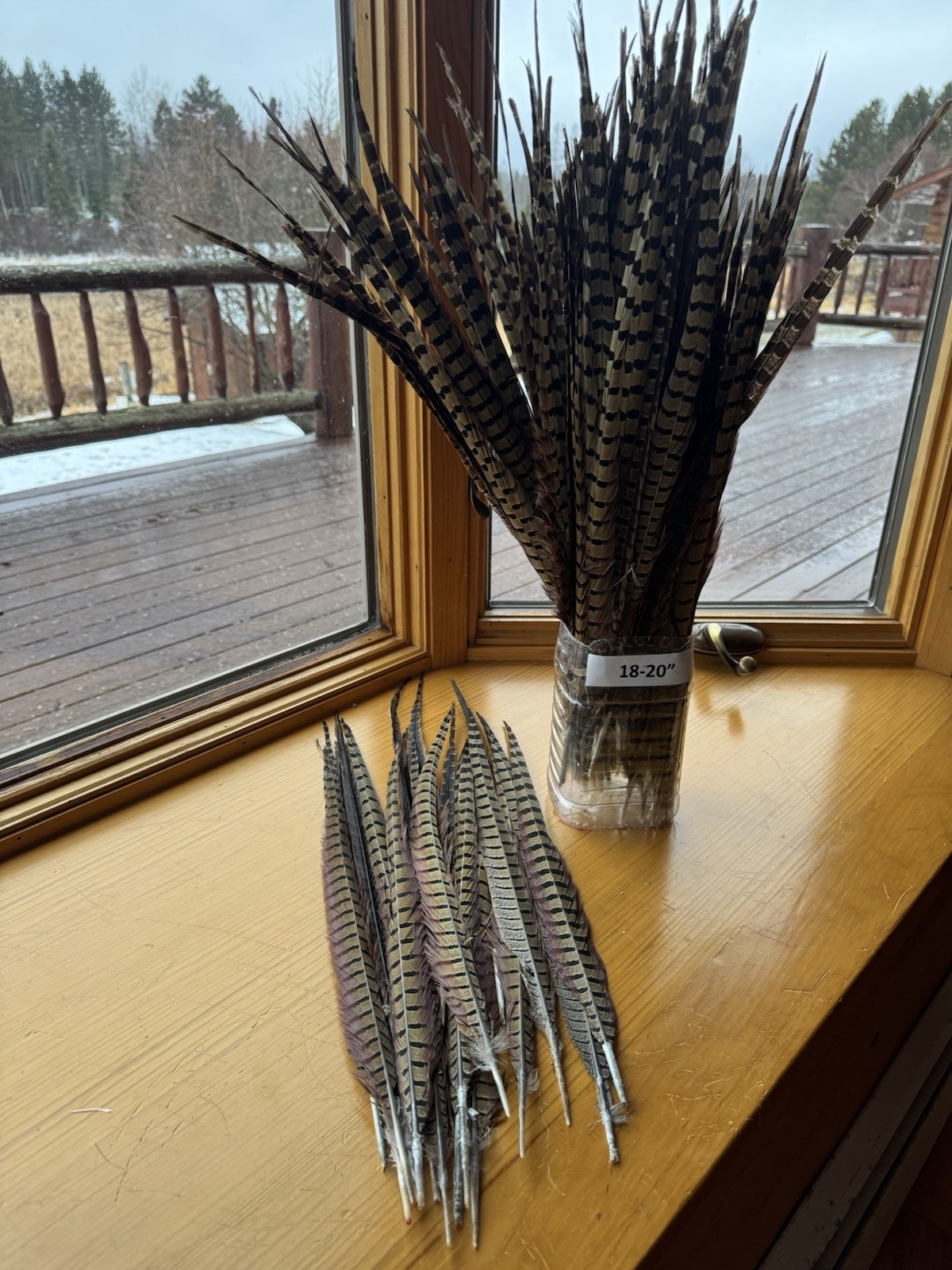 18-20” Pheasantp Tail Feathers Set Of 10