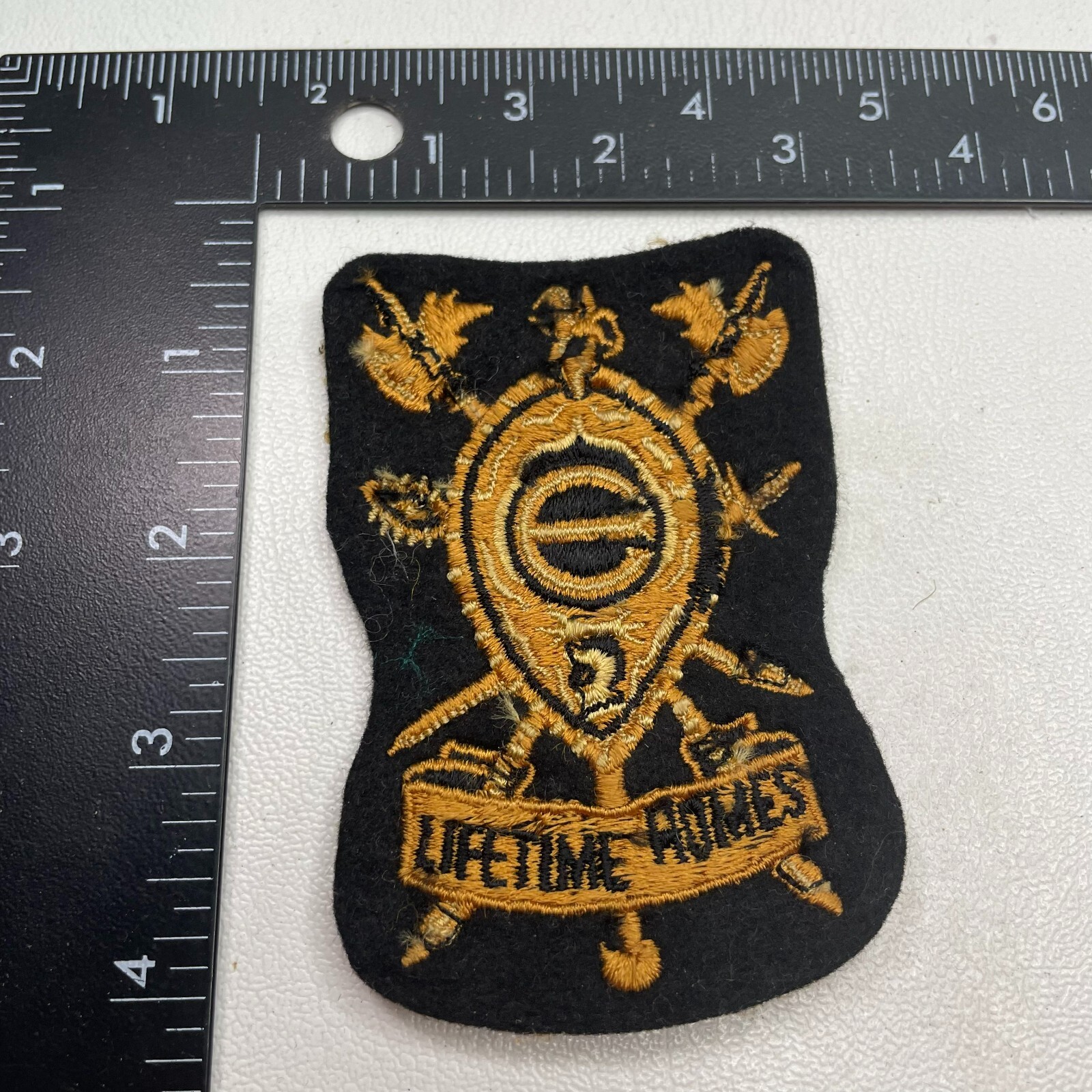 VINTAGE UNKNOWN Embroidered Felt SAYS LIFETIME ROMES? MISSING LETTER? Patch 32CC