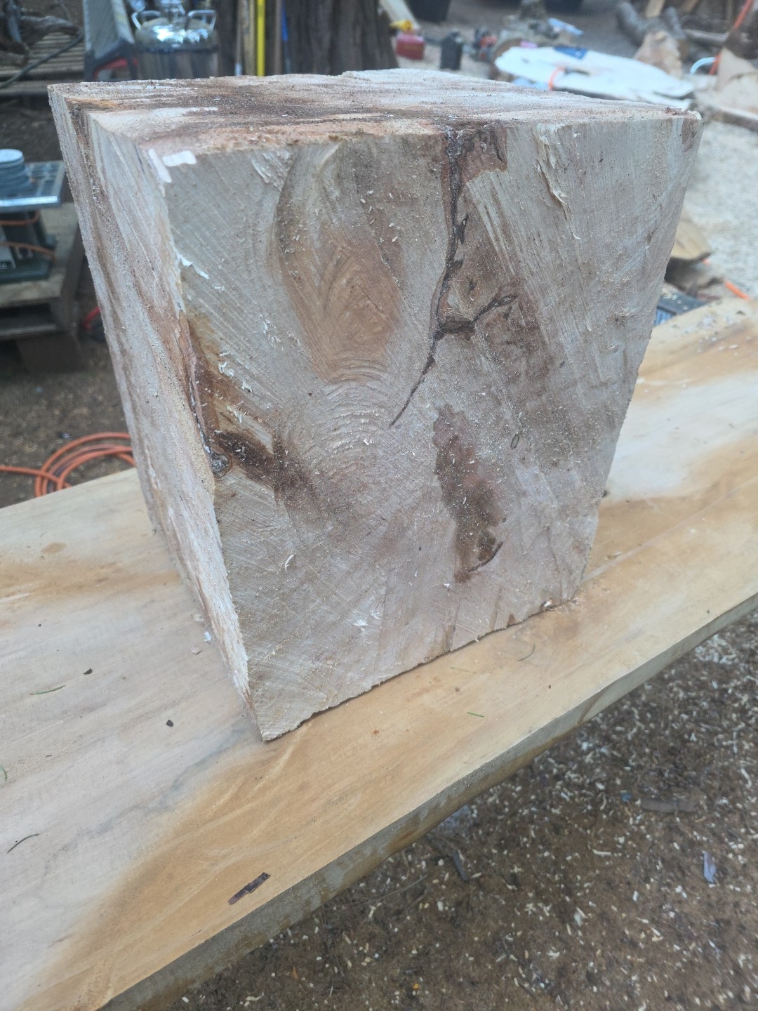 Last One. Birdseye Maple Bowl Blanks Rough 16x12x12 C114-BEM