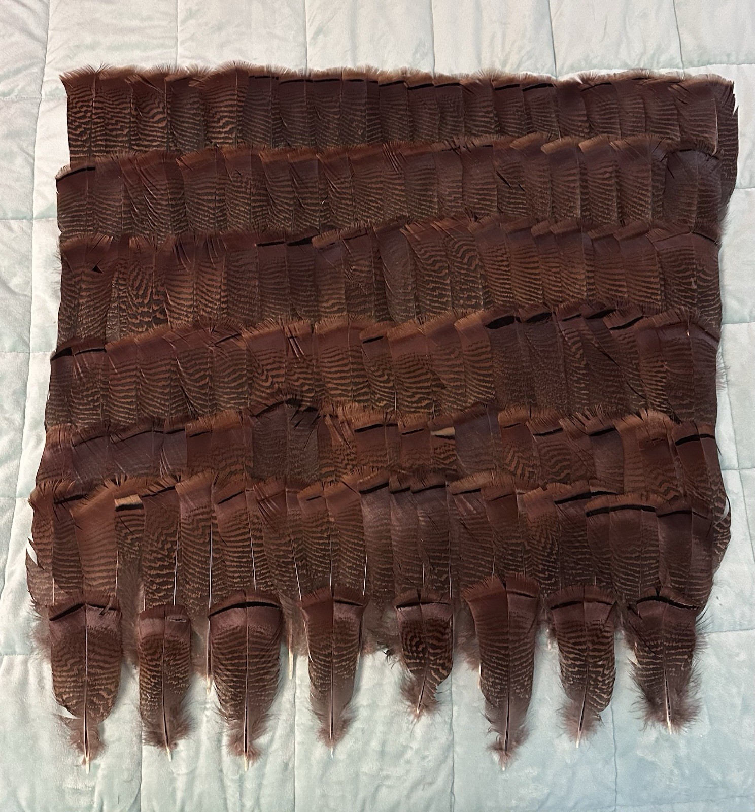12 – Adult Turkey Pre-Tail Skirts