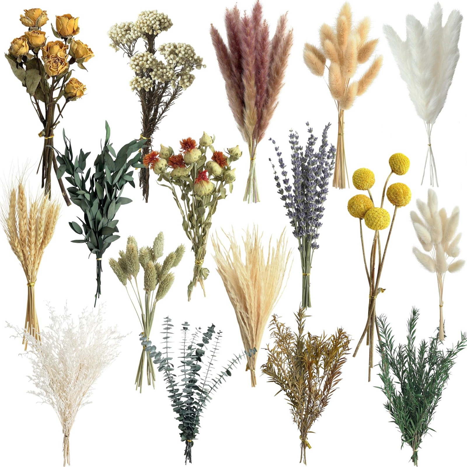 16 Varieties Dried Flowers Set, Mini Natural Dried Flowers Bulk with Stems fo…