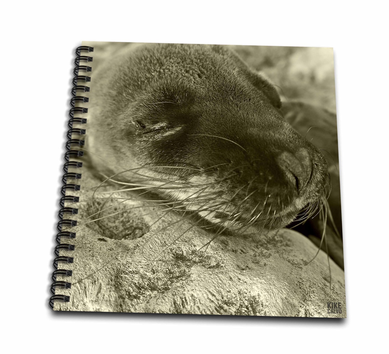 3Drose Db101662 Galapagos Islands Ecuador-Memory Book 12 By 12-Inch Db_10166_2