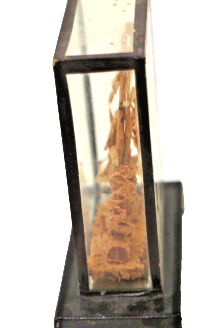 Miniature Cork Wood Carved Village Diorama Scene in Glass Wood Case