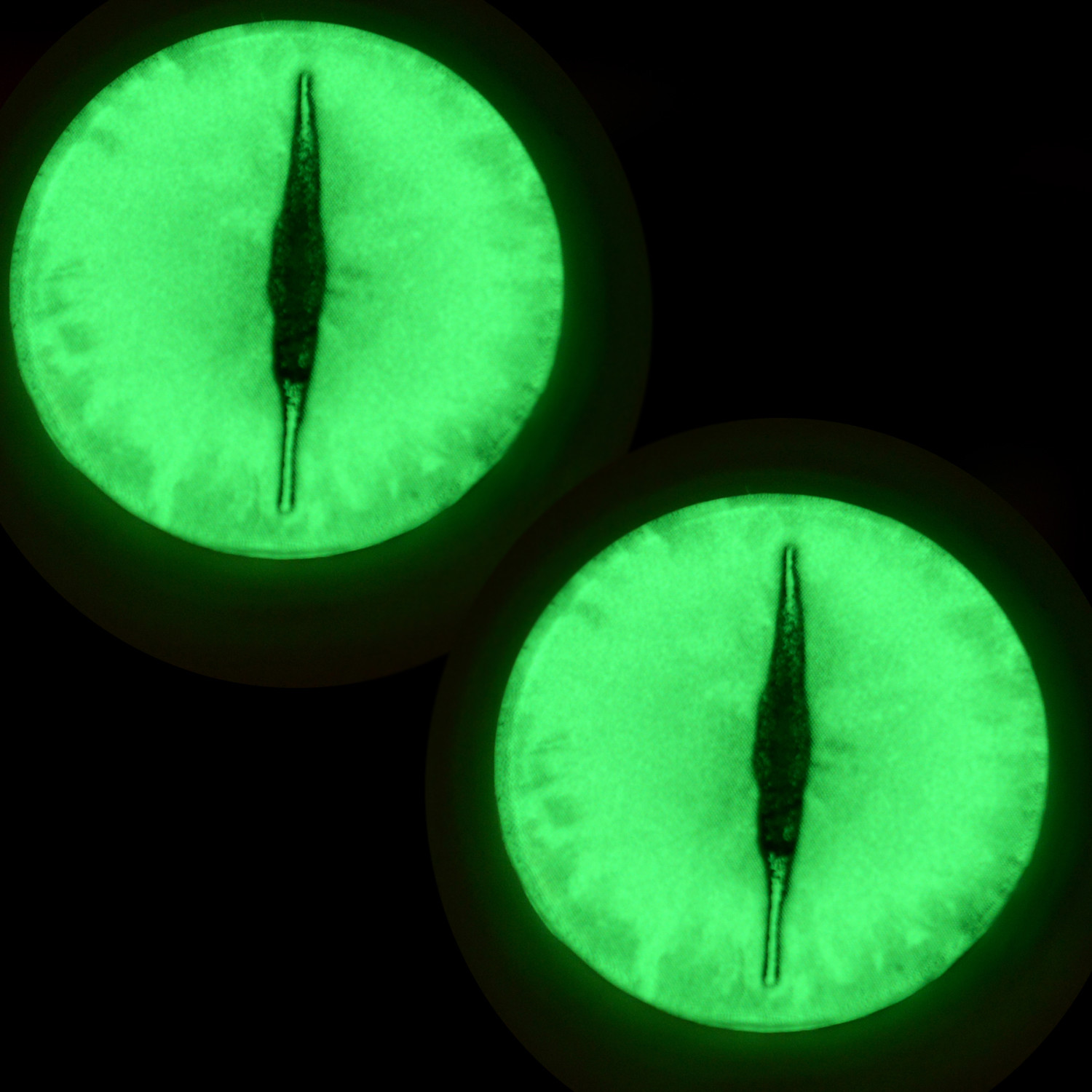 Glow in the Dark Eyes – 30mm Dragon Glass Eyes with Adhesive Backing