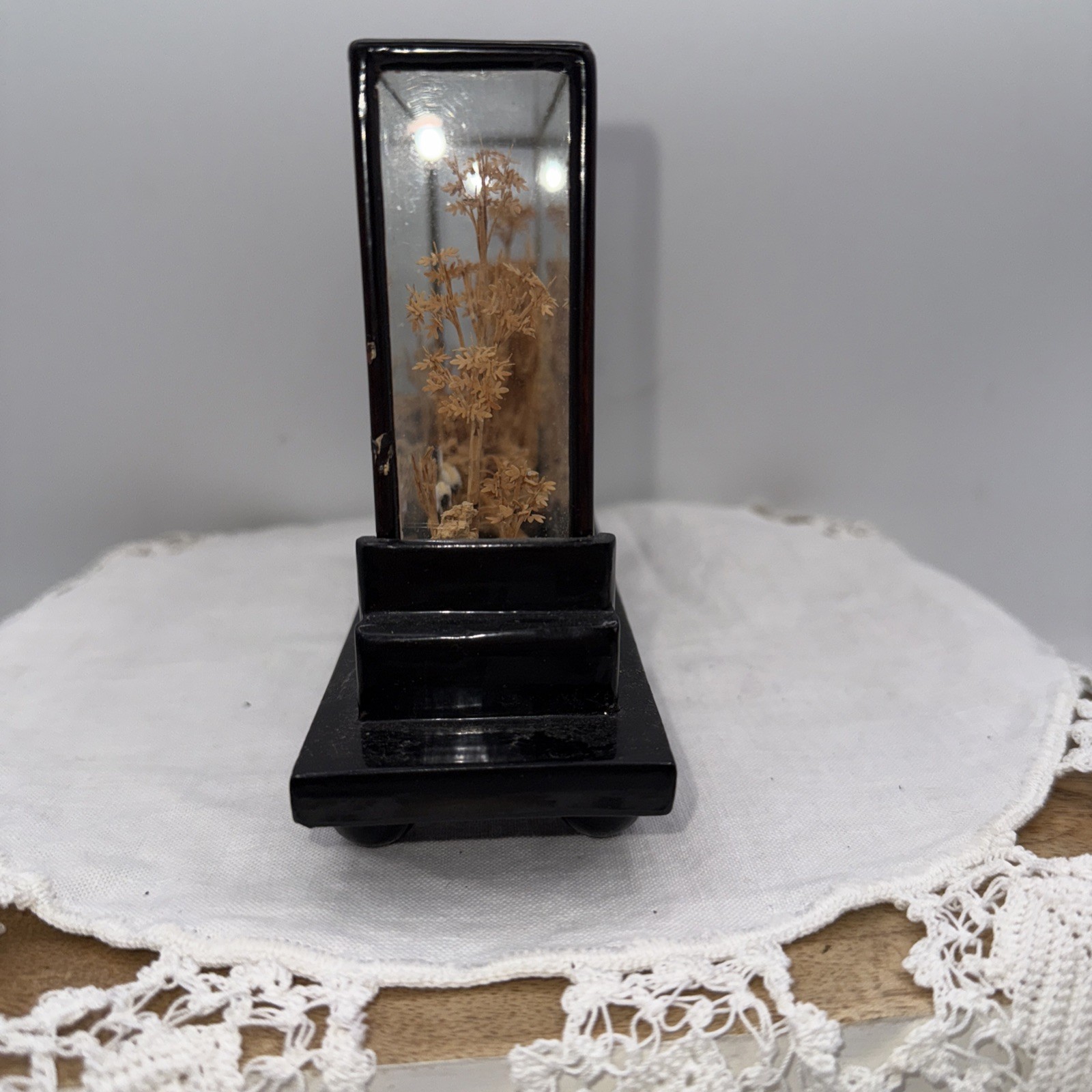 Vintage Chinese Cork Diorama Traditional Art Glass Case Enameled Wood