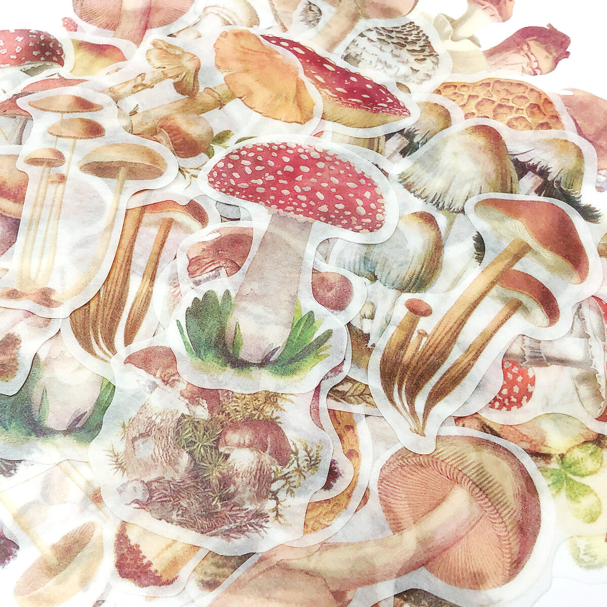 Wrapables Decorative Scrapbooking Washi Stickers, DIY Stationery Diary (60pcs)