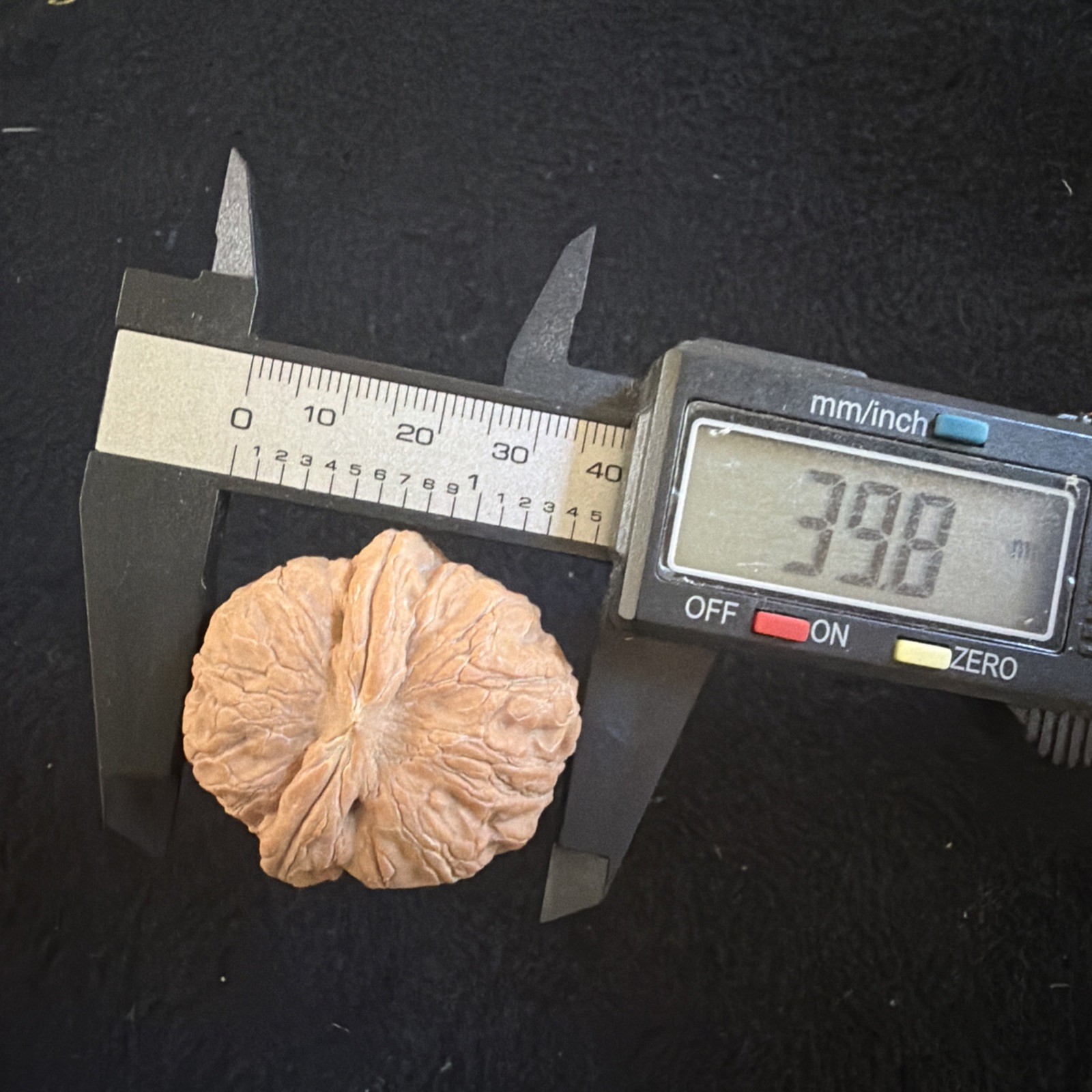 文玩核桃 Ornamental Walnut · Chinese Pocket Curio 2026年新开，精配对无修无打底，#186
