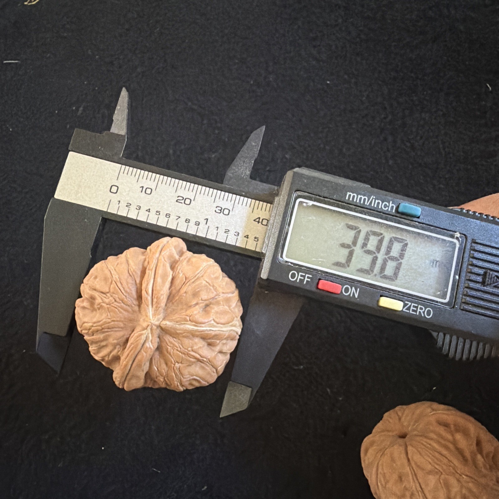 文玩核桃 Ornamental Walnut · Chinese Pocket Curio 2026年新开，精配对无修无打底，#186