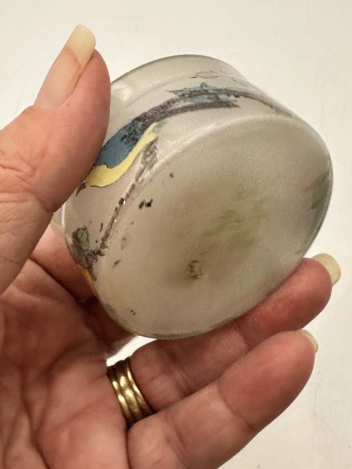 Asian Reverse Painted Frosted Glass With Hand Blown Top Seal
