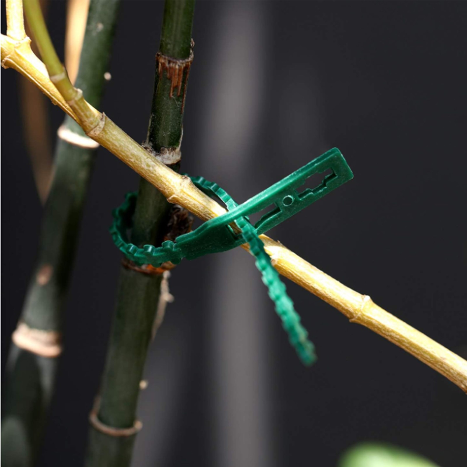 300 PCS Adjustable Plant Ties Flexible Garden Plant Ties, Green Multi-Functio…