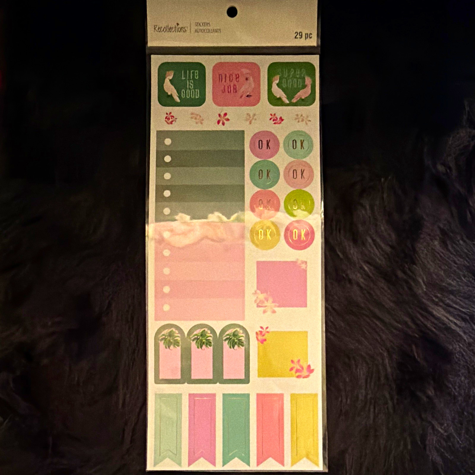 Recollections Planner Theme Stickers Pack, Multicolor, 29 pcs