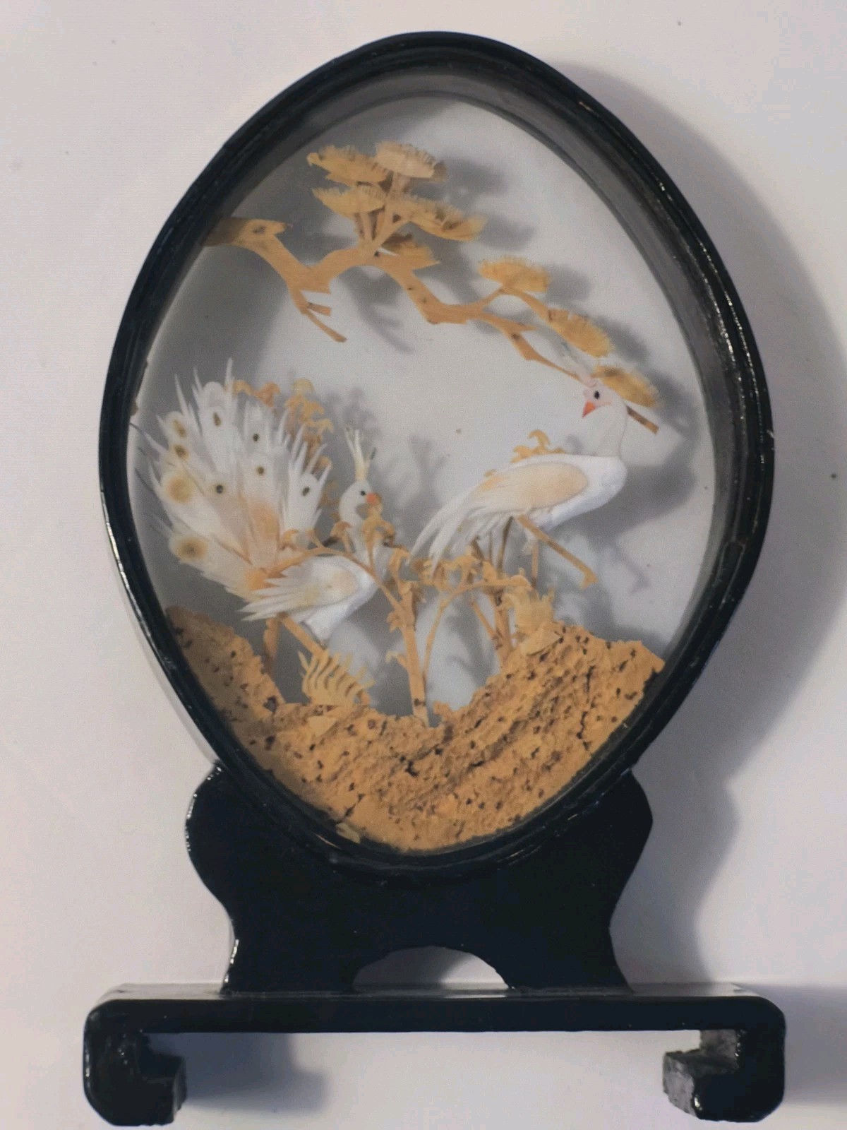 Vintage Asian Cork Carving Diorama Shadow Box Black Lacquer Peacocks Birds 5.5″