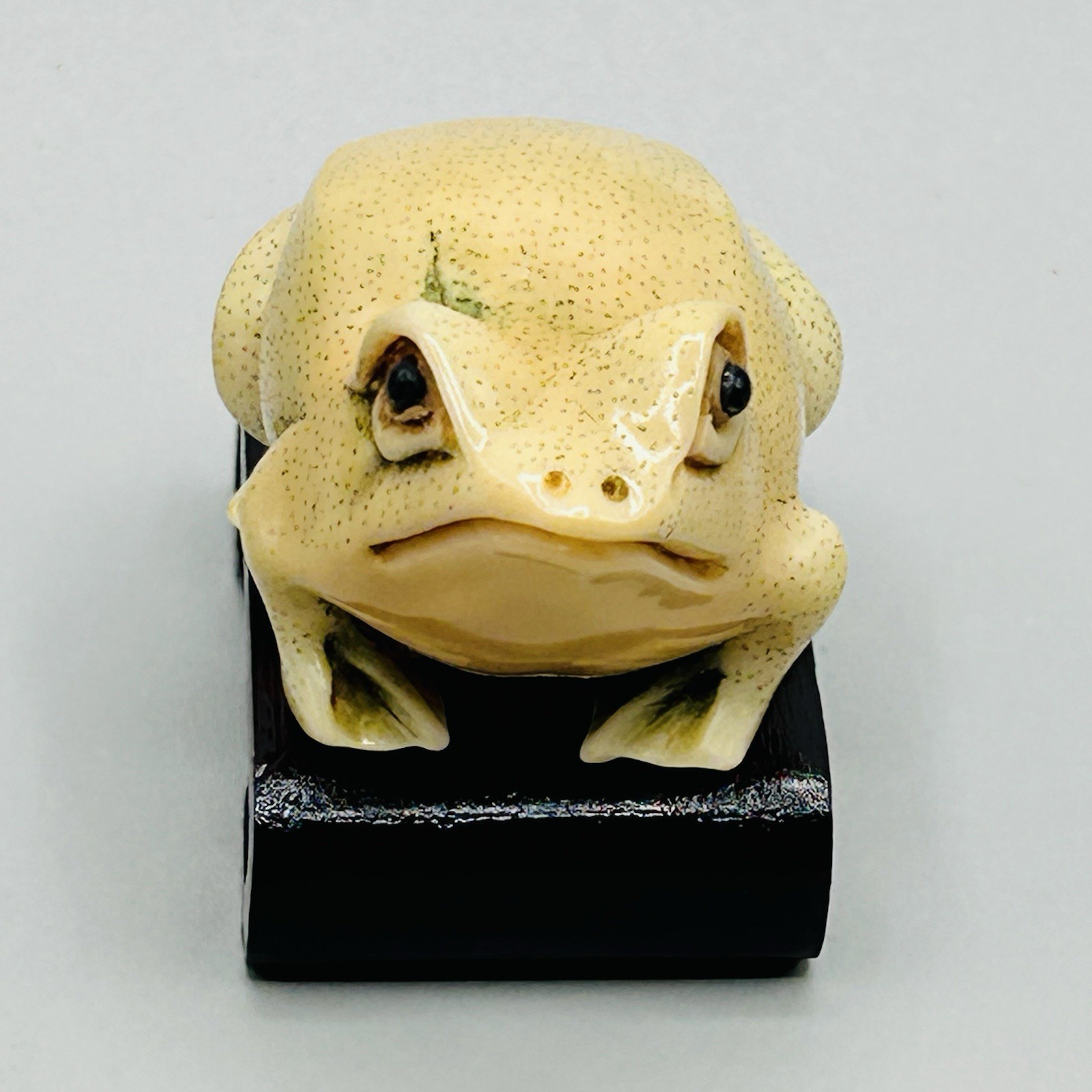 Hand Carved and Painted TAGUA NUT FROG from Hong Kong Rare Vintage Fabulous