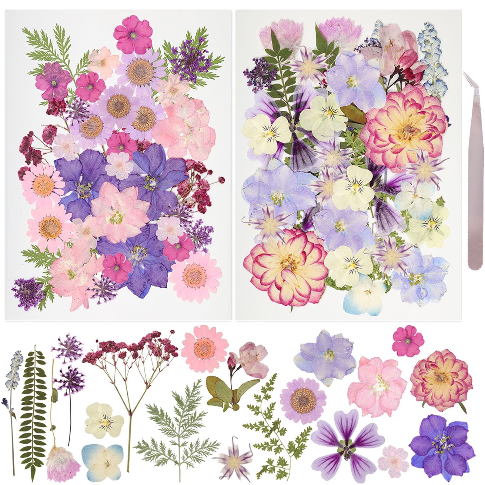 50Pcs Dried Pressed Flowers Resin Mould Real Natural Purple