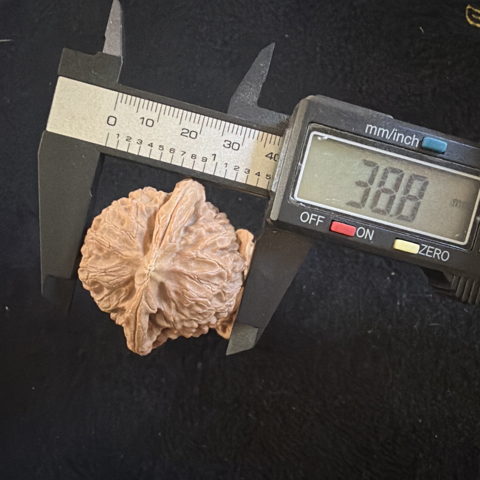 文玩核桃 Ornamental Walnut · Chinese Pocket Curio 2026年新开，精配对无修无打底，#189