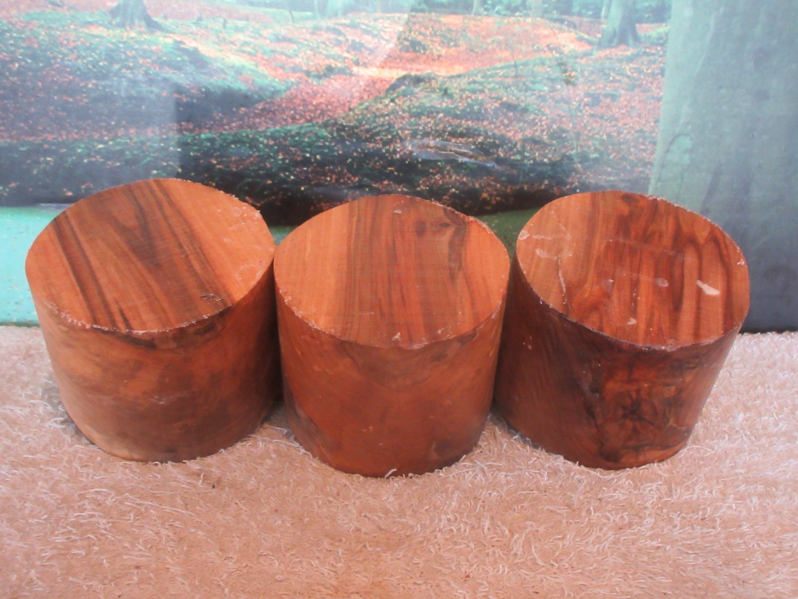 SPALTED SWEET GUM 4 x 3 TURNING WOOD BOWL BLANKS