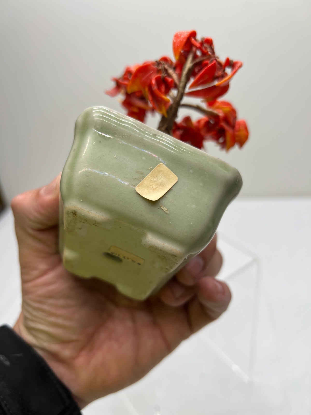Antique Chinese Jade Tree Oriental Bonsai Jade Plant