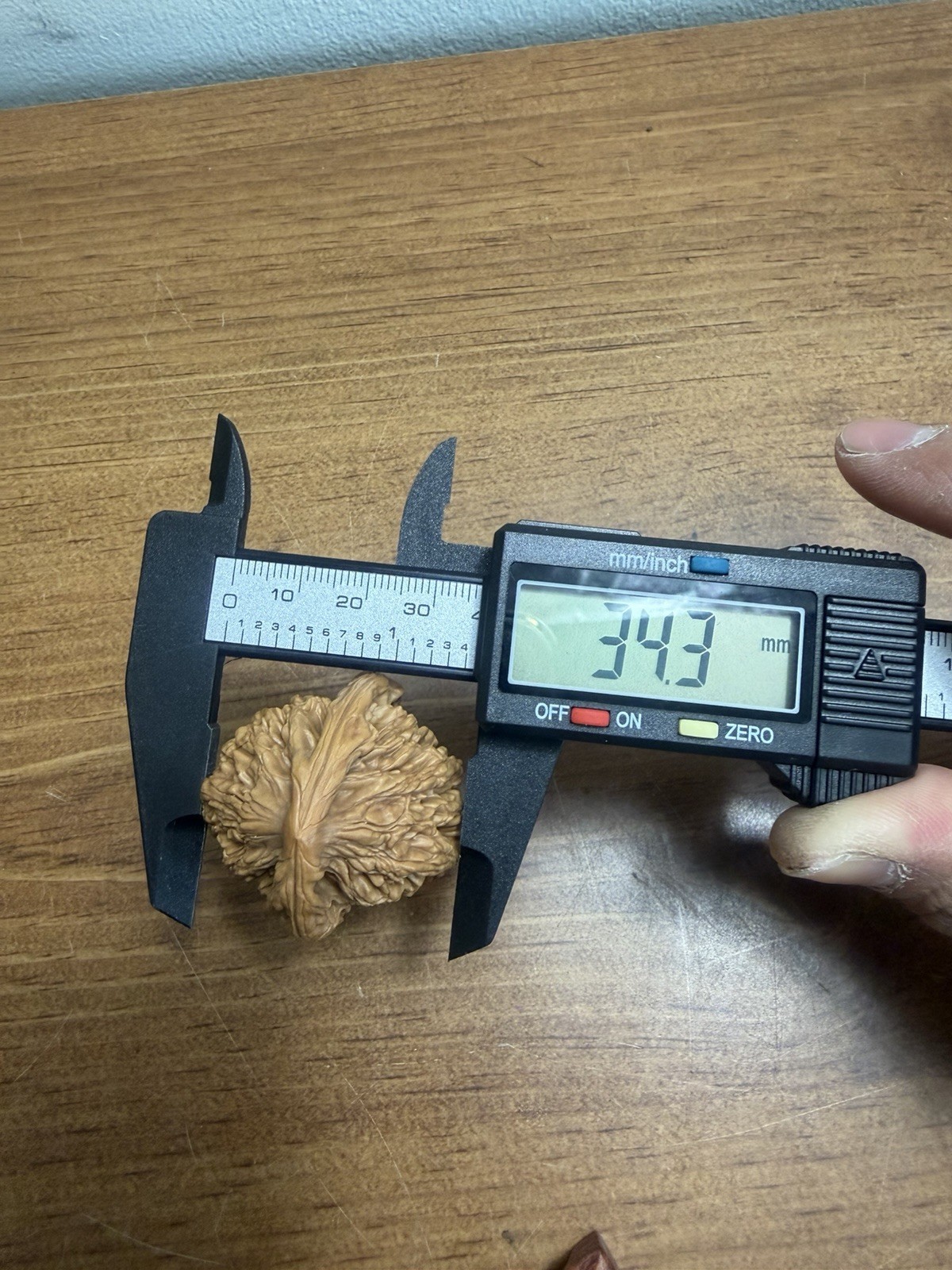 Pair of Match Chinese Health Walnut 精品老树高装麦穗虎头文玩核桃 40x36x34 已打底 配底座手套和刷子