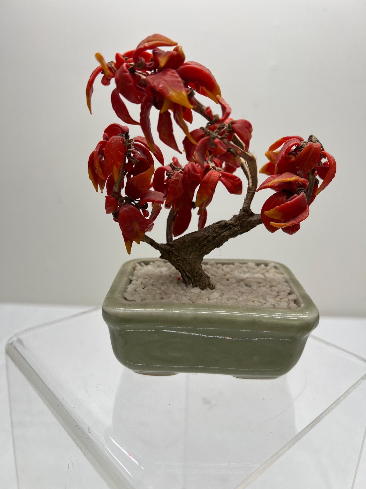 Antique Chinese Jade Tree Oriental Bonsai Jade Plant